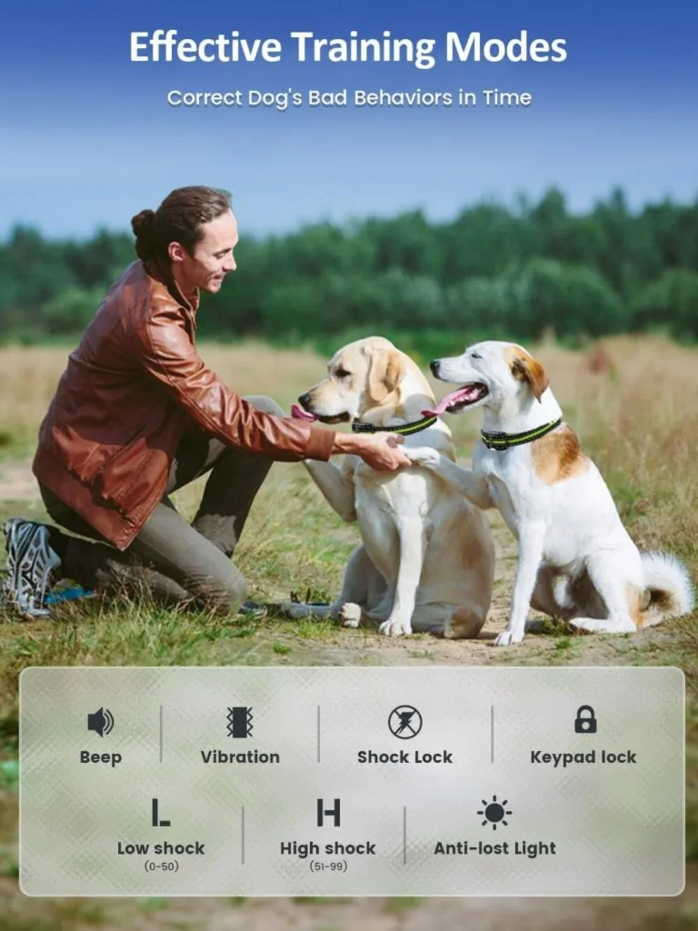 Waterproof Dog Training Collar with Remote, 4200FT Range, Beep & Vibration Modes